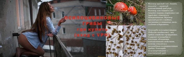 дживик Карпинск