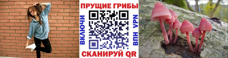 Галлюциногенные грибы мицелий  omg вход  Ковдор  цены наркотик 