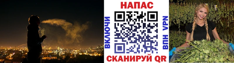 OMG ONION  Ковдор  Бошки марихуана семена  где найти  
